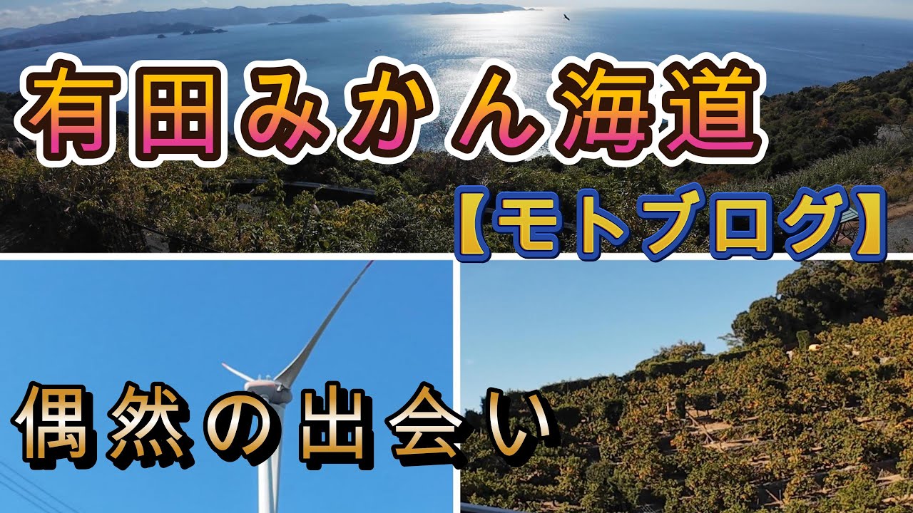 [有田みかん海道　モトブログ  ] 和歌山県有田市、有田みかん海道に向かいます。紀伊水道を望む美しい道を走ります。