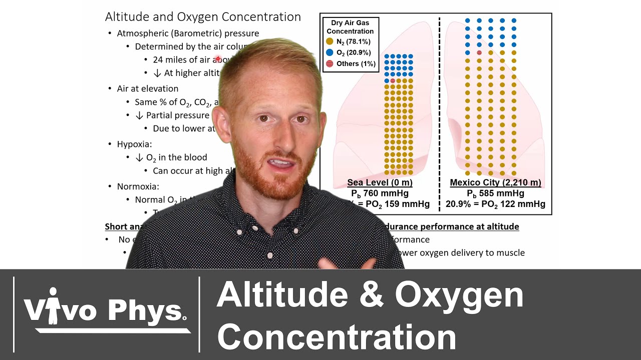Effect of Altitude on Atmospheric Pressure and Oxygen Partial Pressure