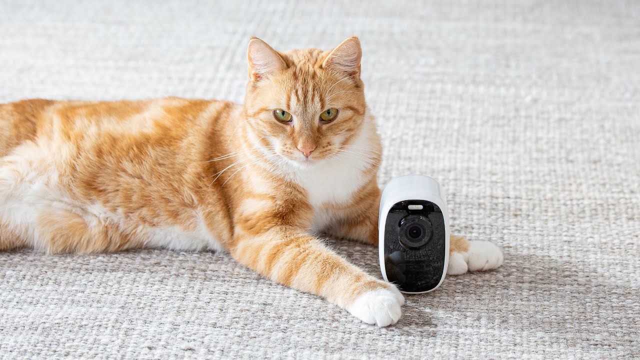 Langaton valvontakamera akulla ja pilvipalvelulla – T-Cam BC200 AI