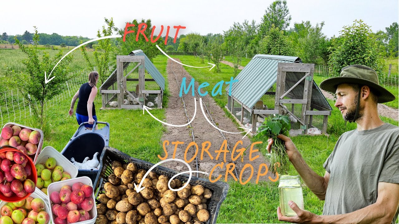 How we MAXIMIZE a SMALL piece of land!