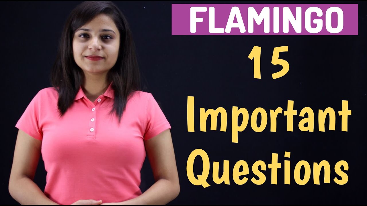 15 Important Questions of Flamingo | CBSE | Class 12 English Boards 2020