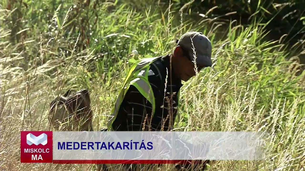 Miskolc Ma 2025. 07. 04.: Folyamatos a medertakarítás Miskolcon