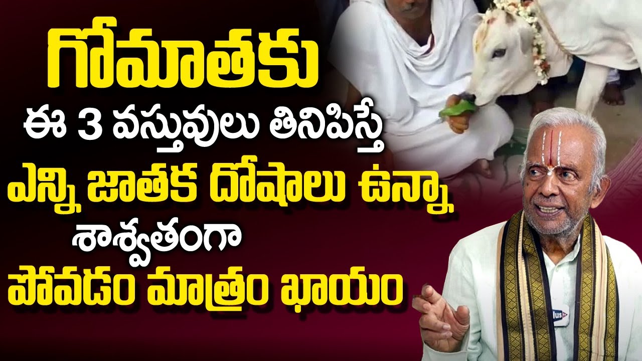 గోమాత‌కు ఈ 3 వ‌స్తువులు తినిపిస్తే...| Gomatha Benefits In Telugu By Sri TKV Raghavan | Plus Tv