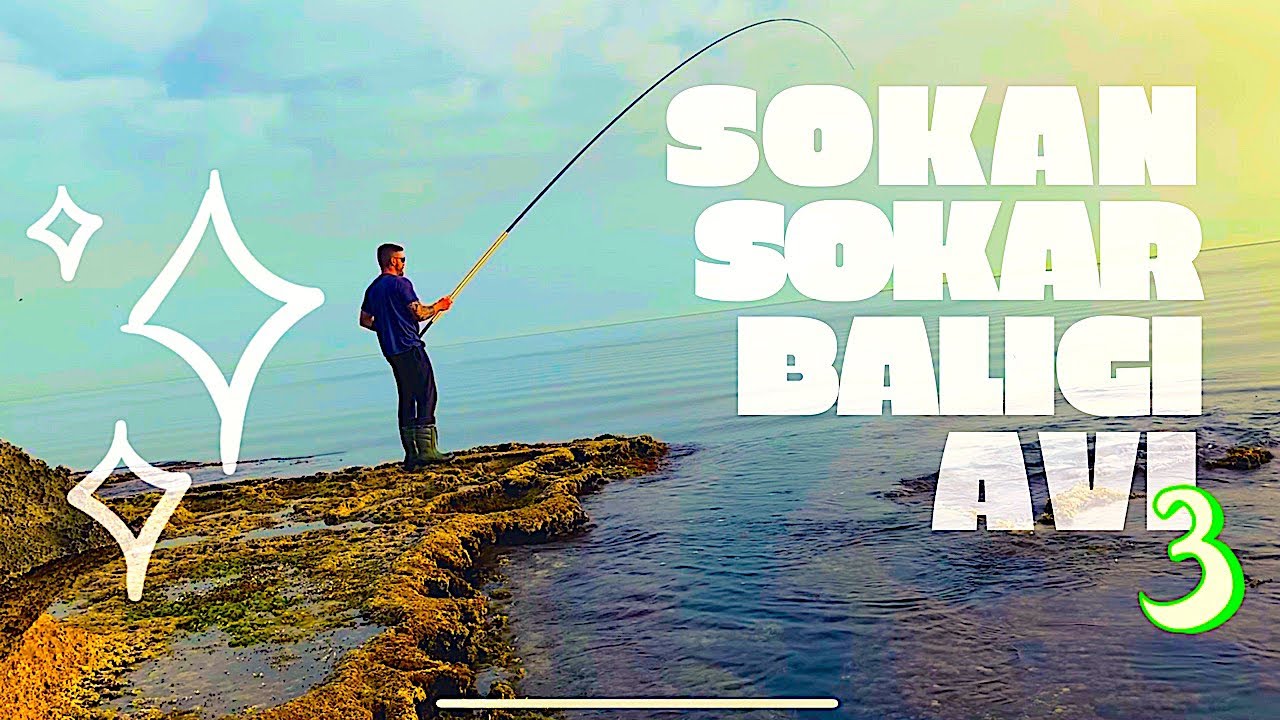 Sokan (Sokar) Balığı Avı #3 KKTC 23.05.2019 Fishing in Cyprus SIGANUS RIVULATUS κουρκούνες
