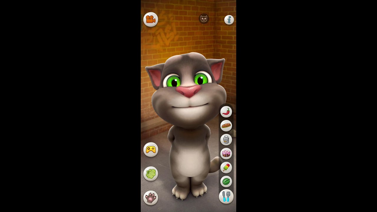 Talking Tom Cat  #shorts #livestream