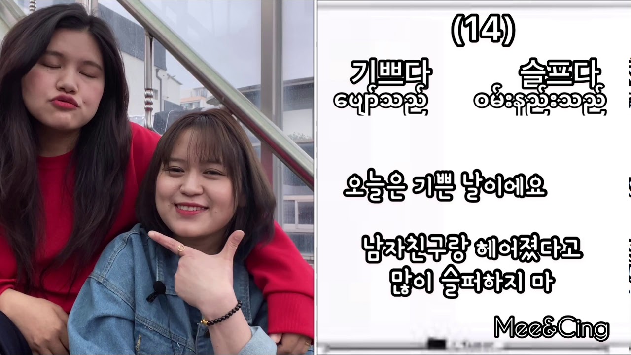 (ဆန့်ကျင်ဘက် ကြိယာများ)