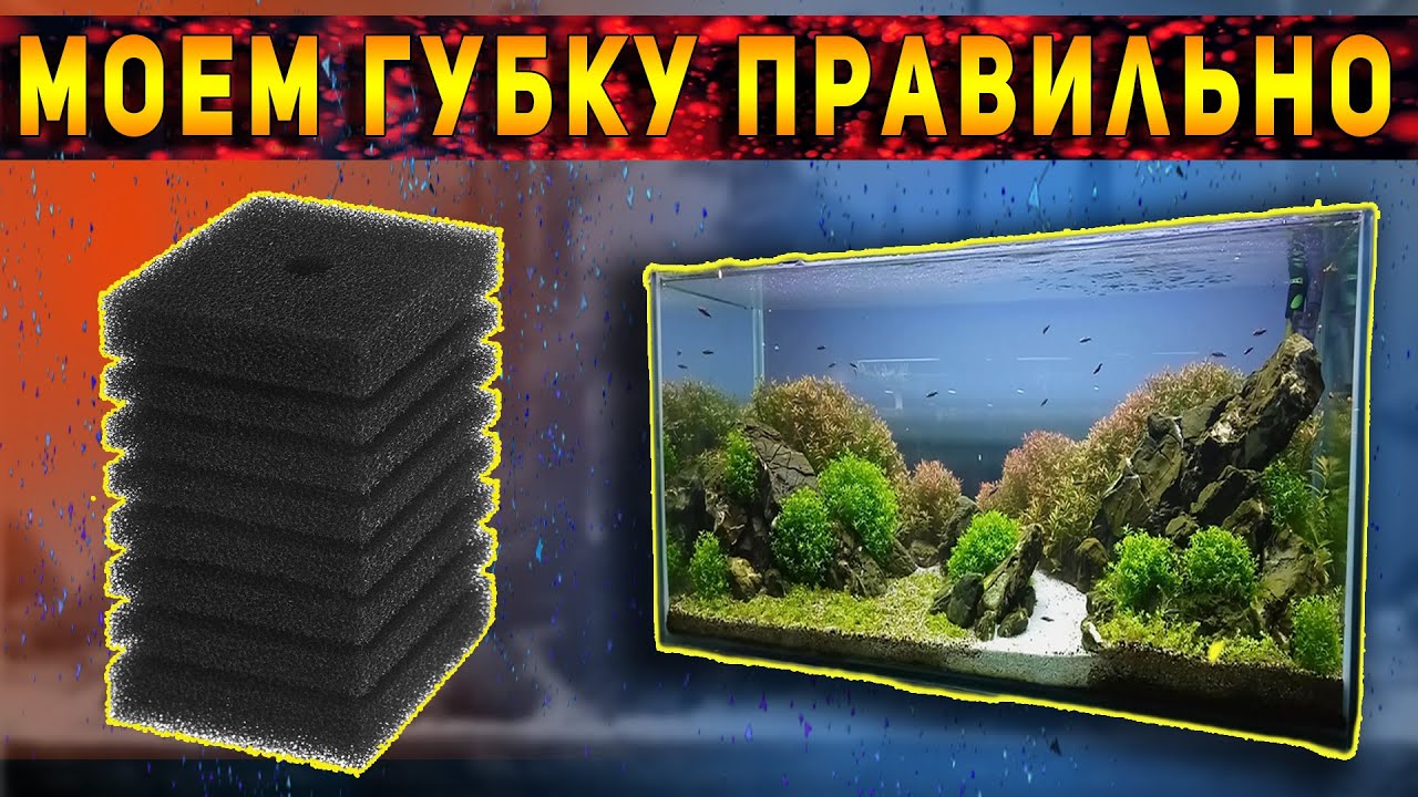 Как ПРАВИЛЬНО мыть ФИЛЬТР ГУБКУ!