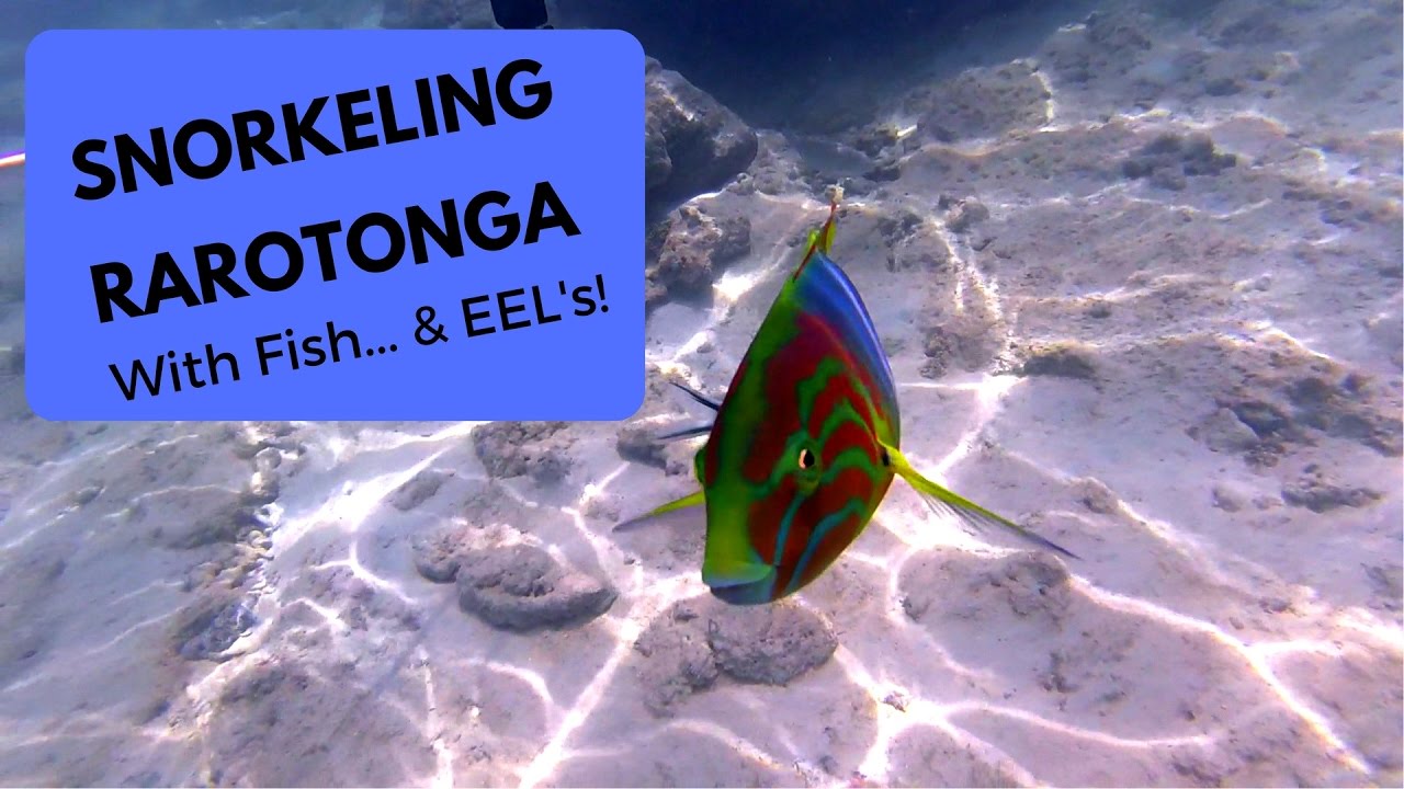 Snorkeling Cook Islands Rarotonga 2017