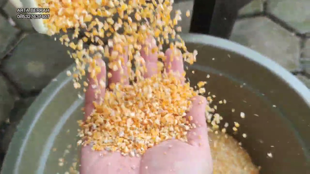 Ayakan Khusus Jagung Pecah/Giling Tipe Blower Hisap Kapasitas Sedang | Solusi Pangan Ternak | Sriti