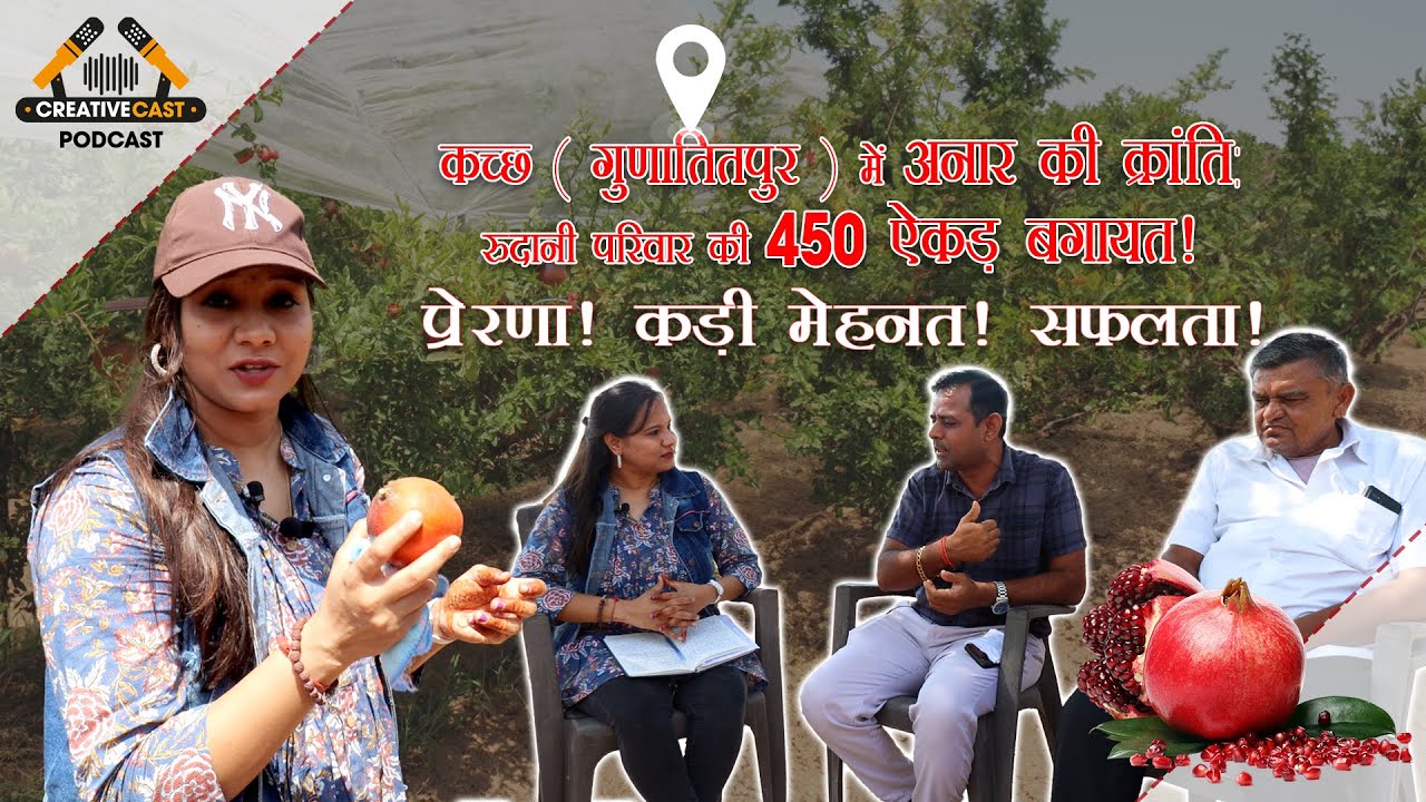रुत्दानी परिवार की 450 एकड़ में अनार क्रांति! आधुनिक खेती से कमाएँ करोड़ों। | #pomegranate #farming