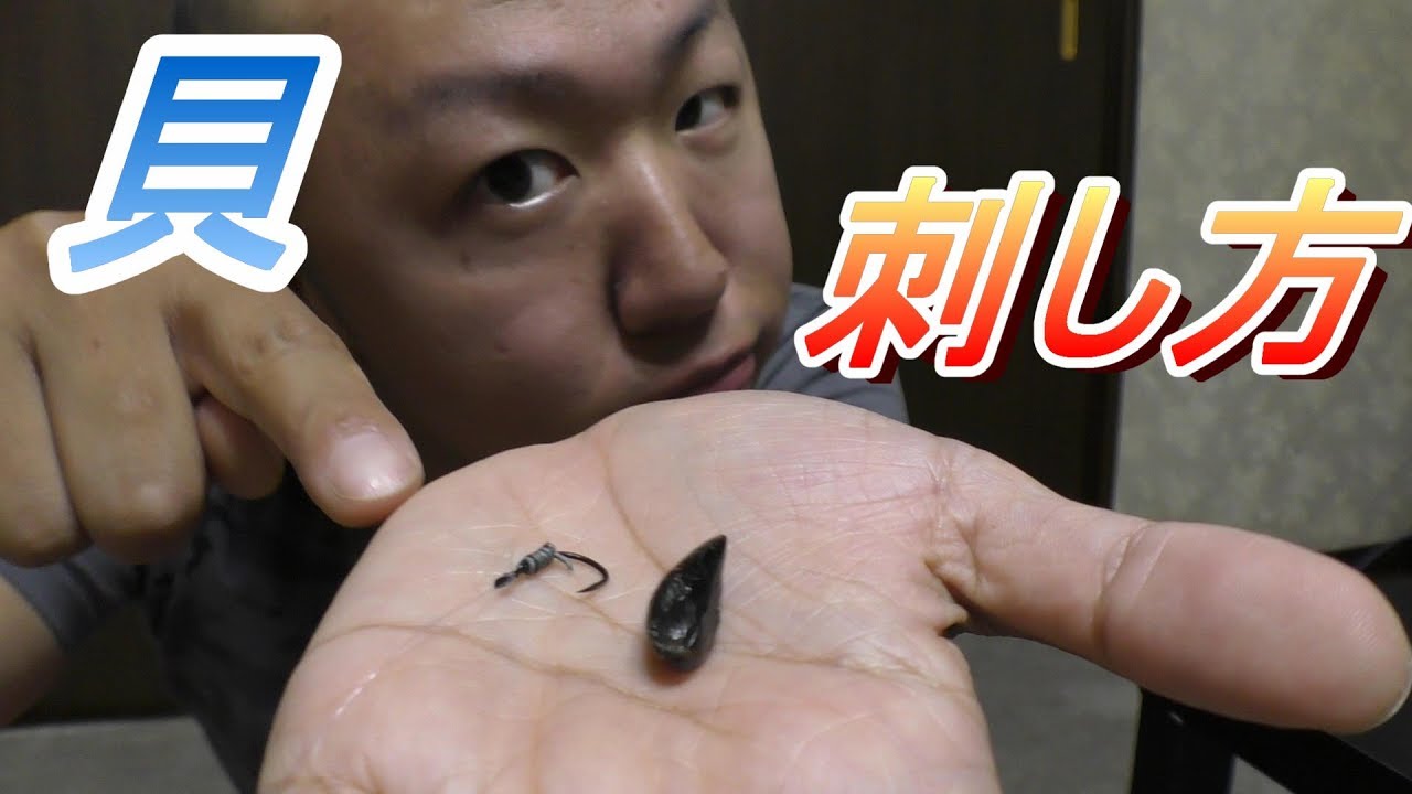 イガイ（カラス貝）の針の刺し方、ガン玉の付け方【黒鯛チヌ落とし込みヘチ釣り】