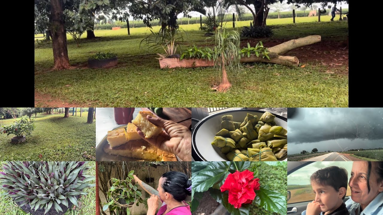 Quintal grande e muito bom só que dá trabalho demais pra organizar.
