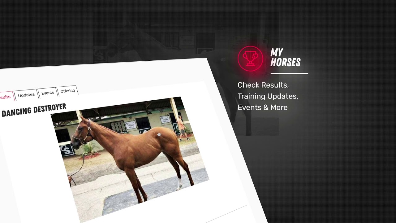 MyRacehorse Web Explainer