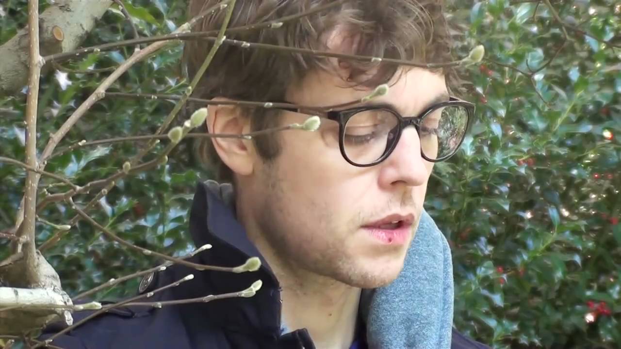 Seabear - Lion Face Boy | The Wild Honey Pie Buzzsession