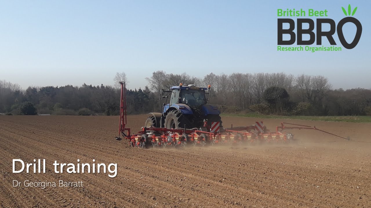 Drilling your sugar beet for improved stand and ultimately yield