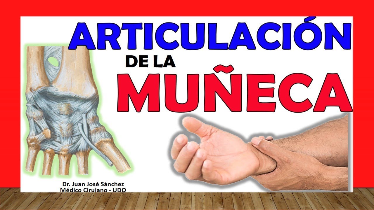 🥇 ARTICULACIÓN DE LA MUÑECA. ¡Fácil Explicación!