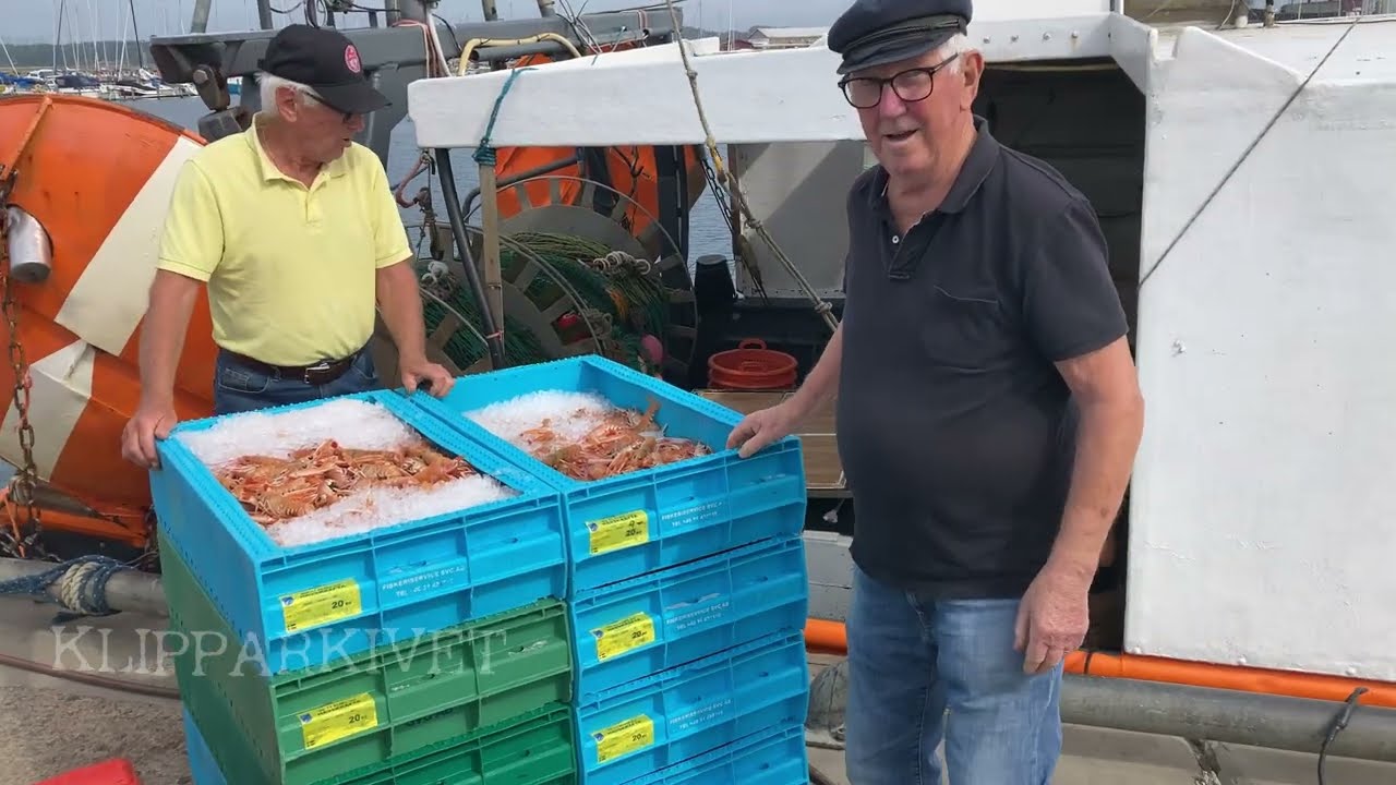 Fiskebåtar Bua