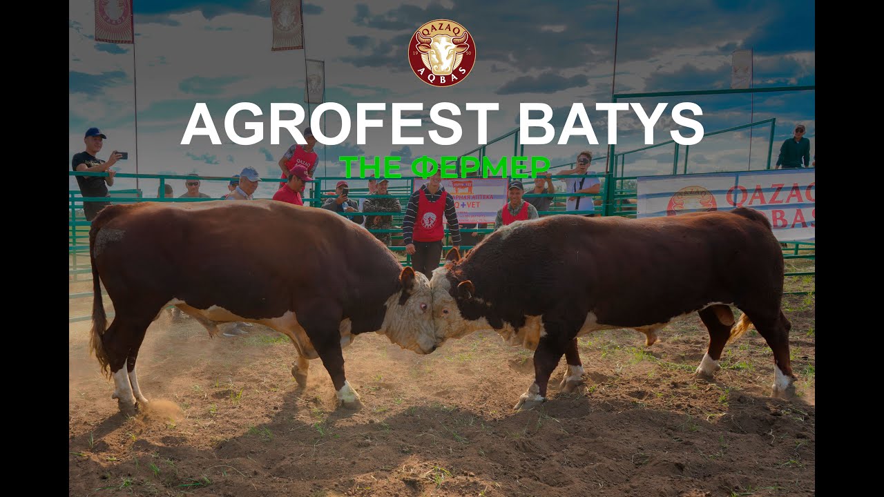 «AGROFEST Batys 2024» ФЕСТИВАЛІ САЛА МАМАНДАРЫНЫҢ БАСЫН ҚОСТЫ