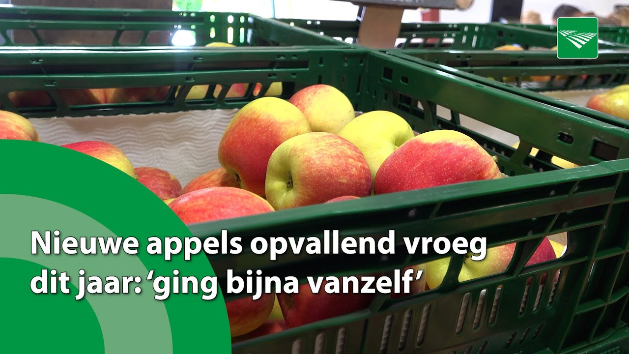 Nieuwe appels opvallend vroeg dit jaar: ‘ging bijna vanzelf’