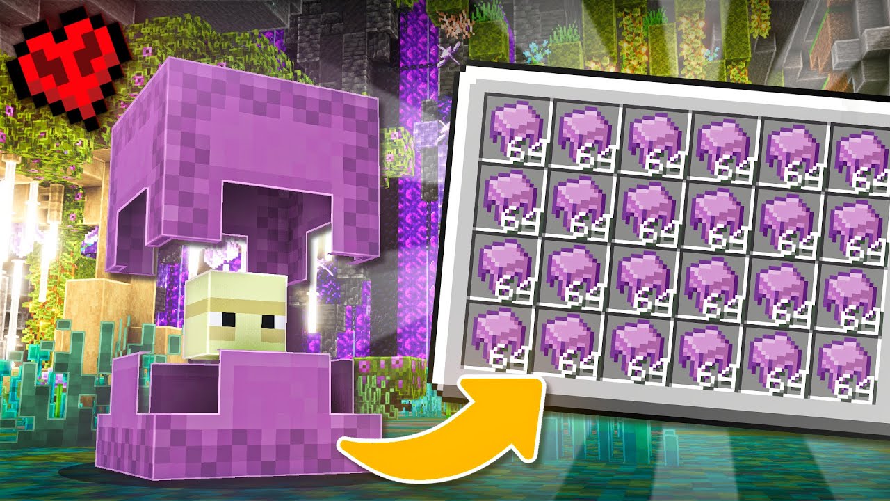 J'ai construit une ferme à SHULKER sur Minecraft Hardcore