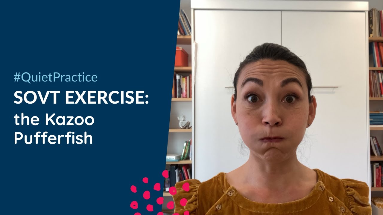 SOVT Exercise: The Kazoo Pufferfish