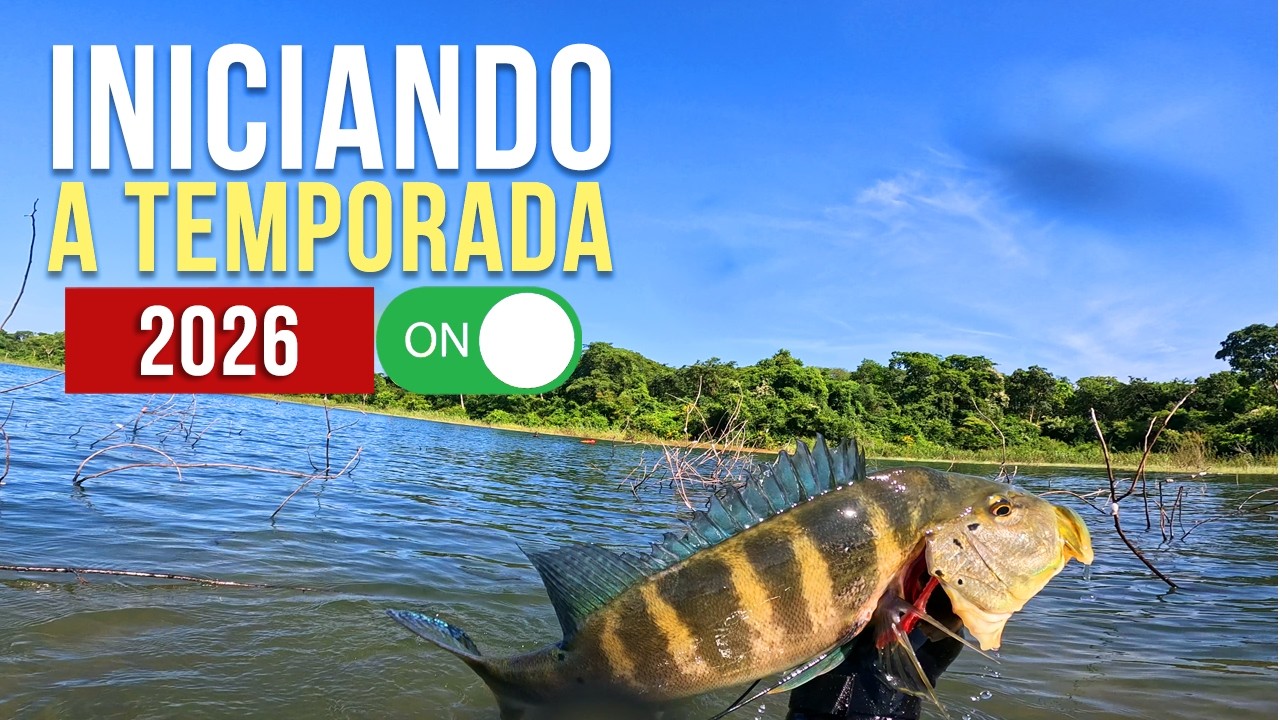 COMEÇAMOS MUITO BEM A TEMPORADA 2026! Pesca Sub - SubTv Spearfishing