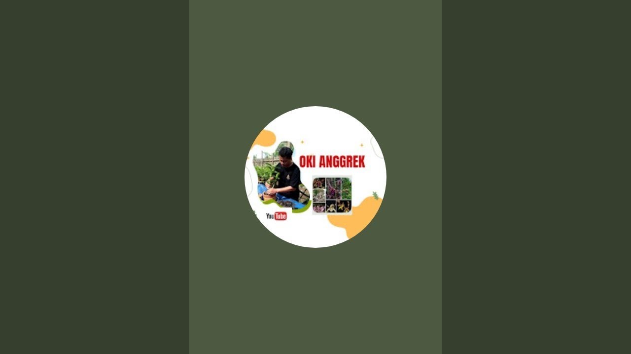 JUAL ANGGREK PANEN KEBUN SEBDIRI 085700525186 🥰