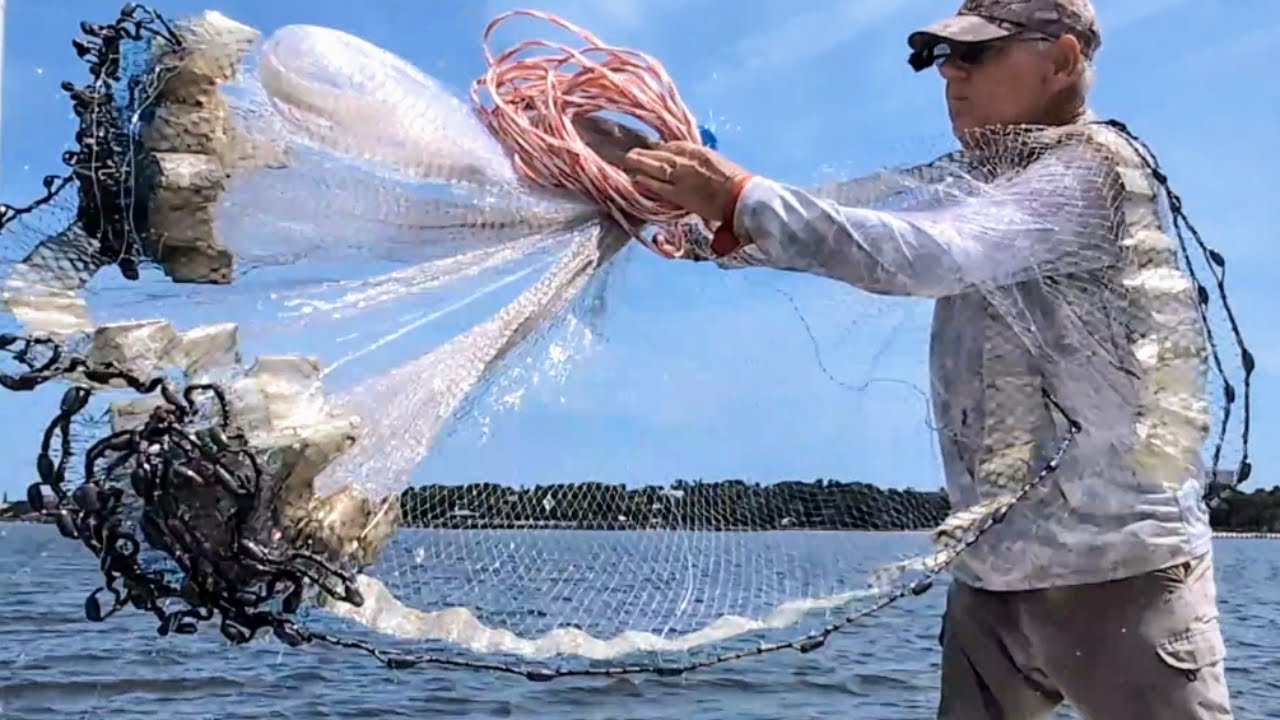 White Shrimp, Catch and Cook