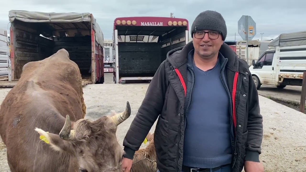 Şarkışla HAYVAN PAZARI İkiz kuzulu KOYUN 17bin TAY 25bin EŞEK 7bin 3Mayıs SİVAS .!!!