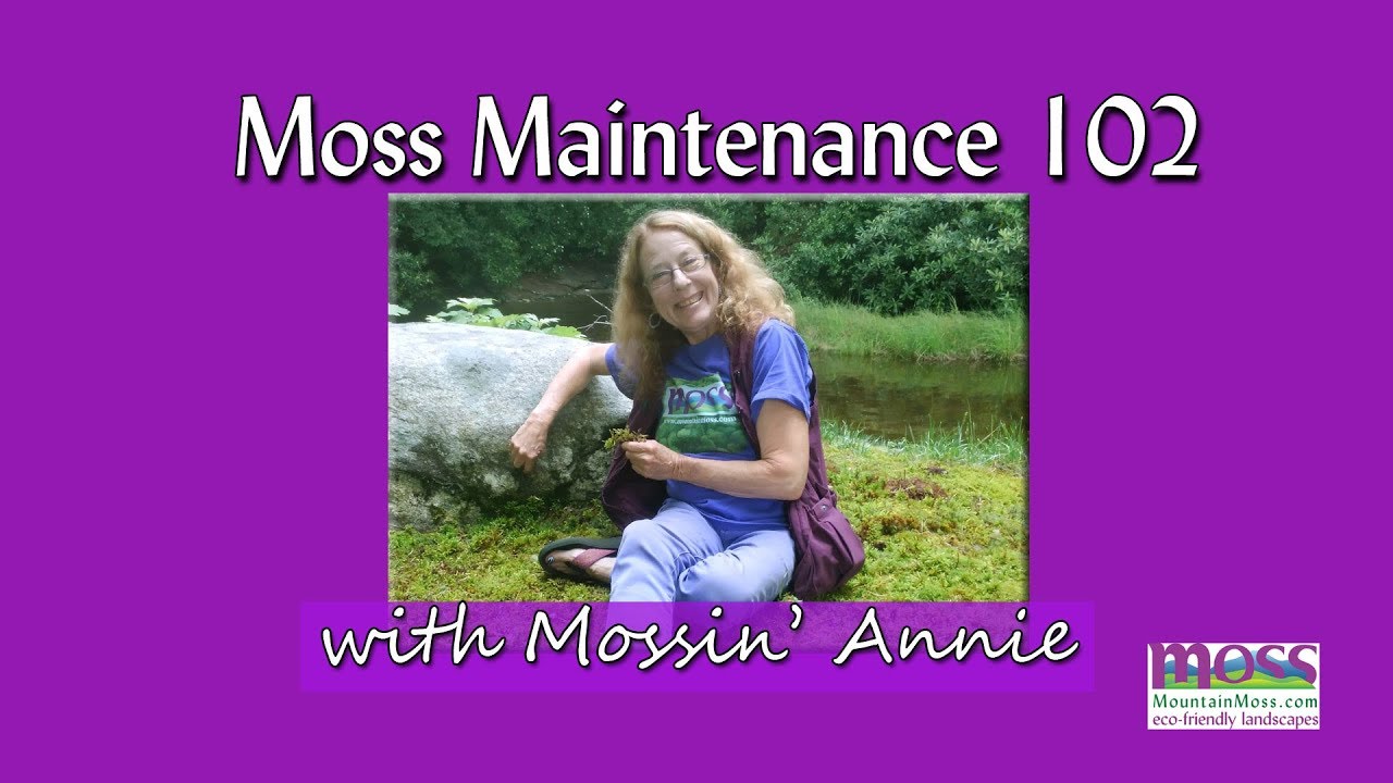 Moss Maintenance 102 with Mossin' Annie