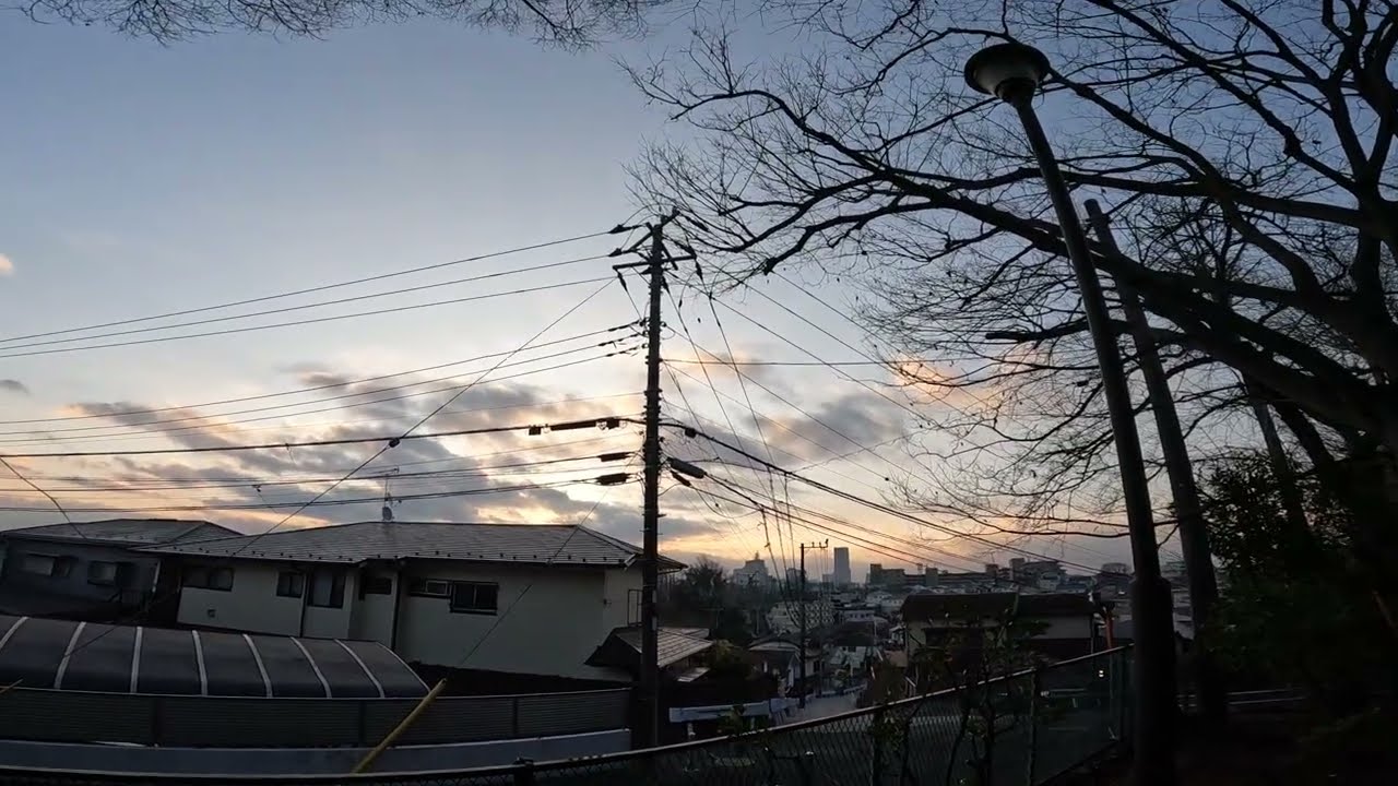 今朝の三ツ沢公園Vol842