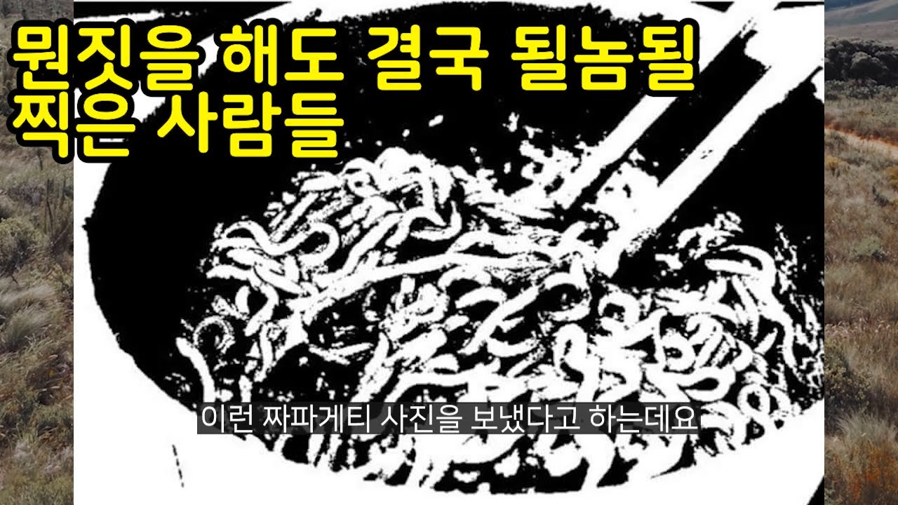 레전드가 된 될놈될 모음