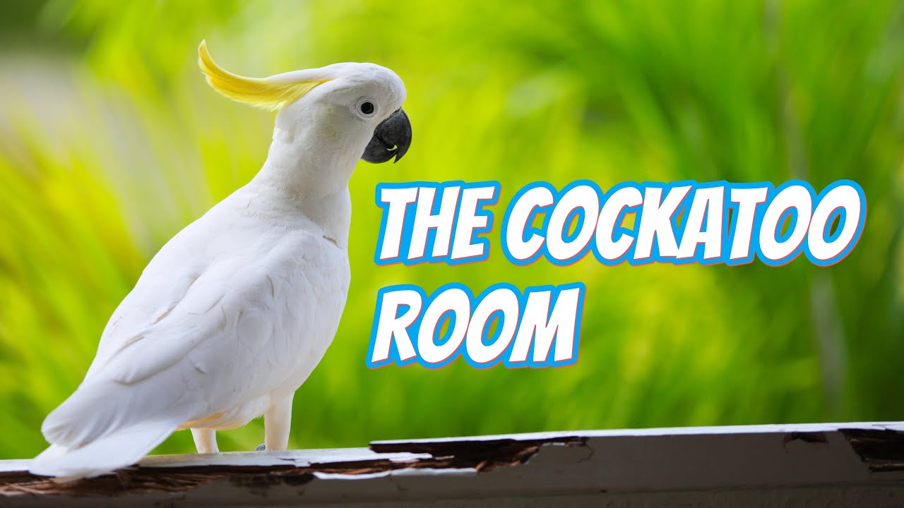 The Cockatoo Room updated!