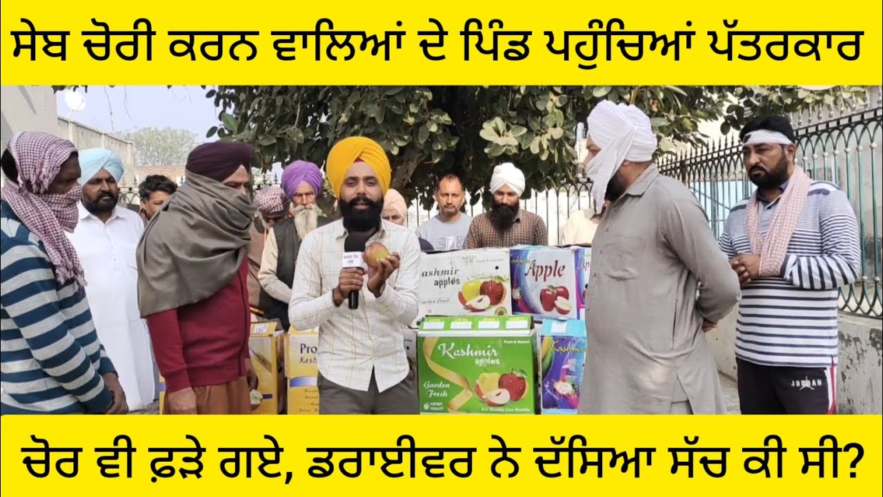 ਸੇਬ ਚੋਰੀ ਕਰਨ ਵਾਲਿਆਂ ਦੇ ਪਿੰਡ ਪਹੁੰਚਿਆਂ ਪੱਤਰਕਾਰ,ਚੋਰ ਵੀ ਫ਼ੜੇ ਗਏ, ਡਰਾਈਵਰ ਨੇ ਦੱਸਿਆ ਸੱਚ ਕੀ ਸੀ?