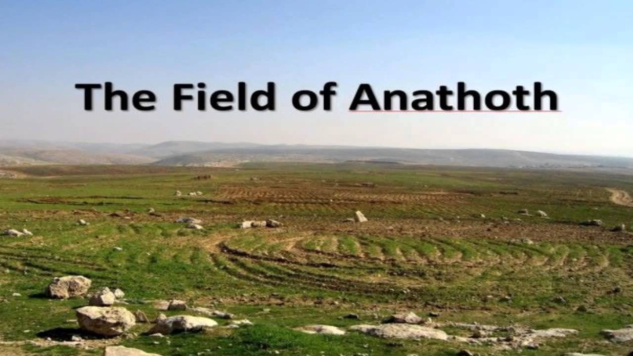 THE FIELD OF ANATHOTH AND THE LOST ARK OF THE COVENANT
