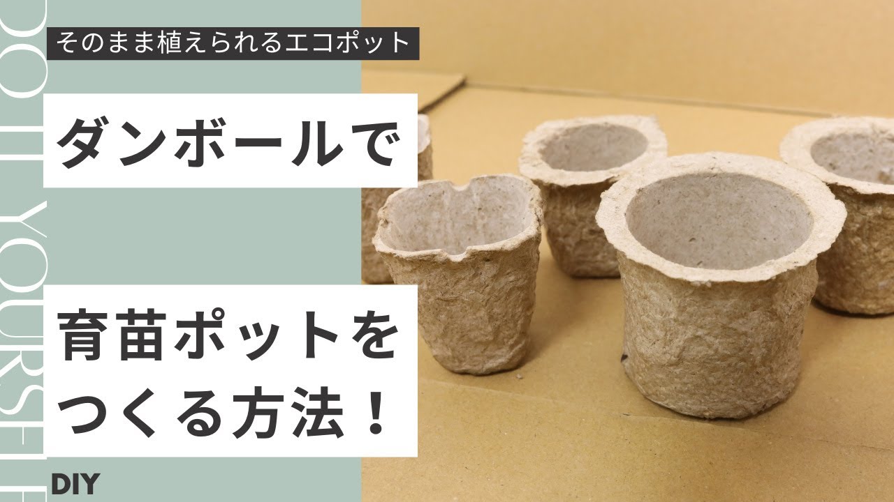 ダンボールから育苗ポット（鉢）を作る方法（自作エコポット・セルトレー）