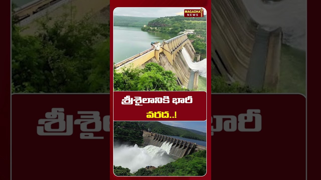 శ్రీశైలానికి భారీ వరద ? #srisailamdam #srisairam #floodalert #magadhanews