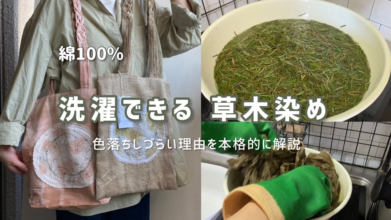 【洗濯できる草木染め】綿100%色落ちしづらい方法の解説。もみの木染め