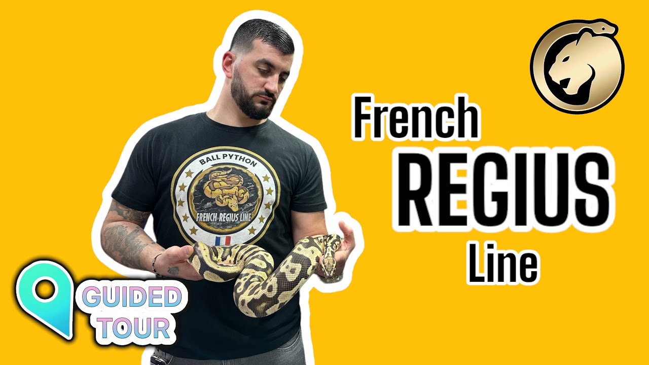 GUIDED TOUR #2 Visite chez FRENCH REGIUS LINE