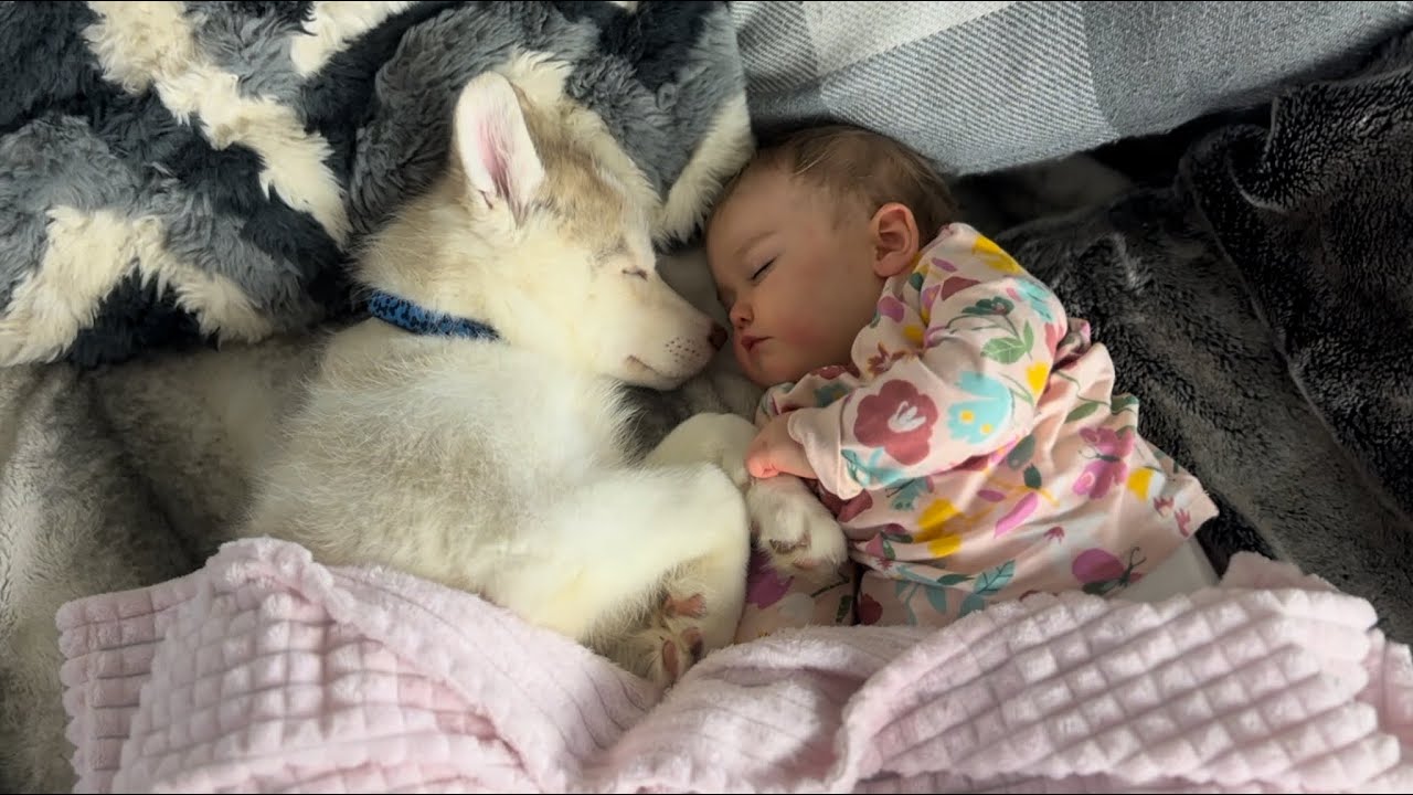 They Fall Asleep Cuddling!!🥹💖. [BABY ASKS FOR CUDDLES!!]