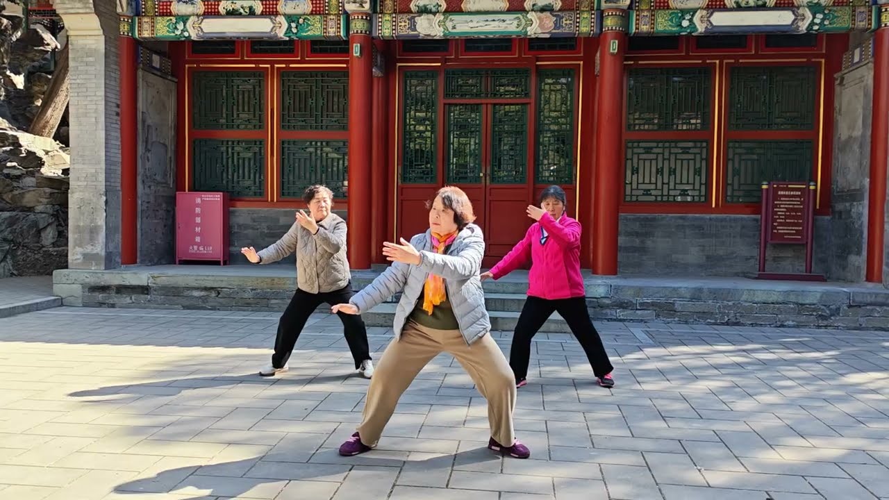 Тайцзицюань_Ю Лун Цюань 游龙拳 (Tai Chi)