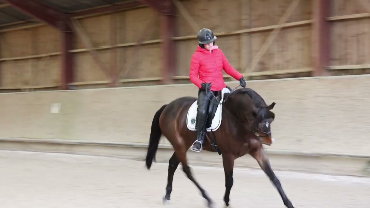Cana’Tips S2E11 – Détendre son cheval au trot par Morgane EURIAT