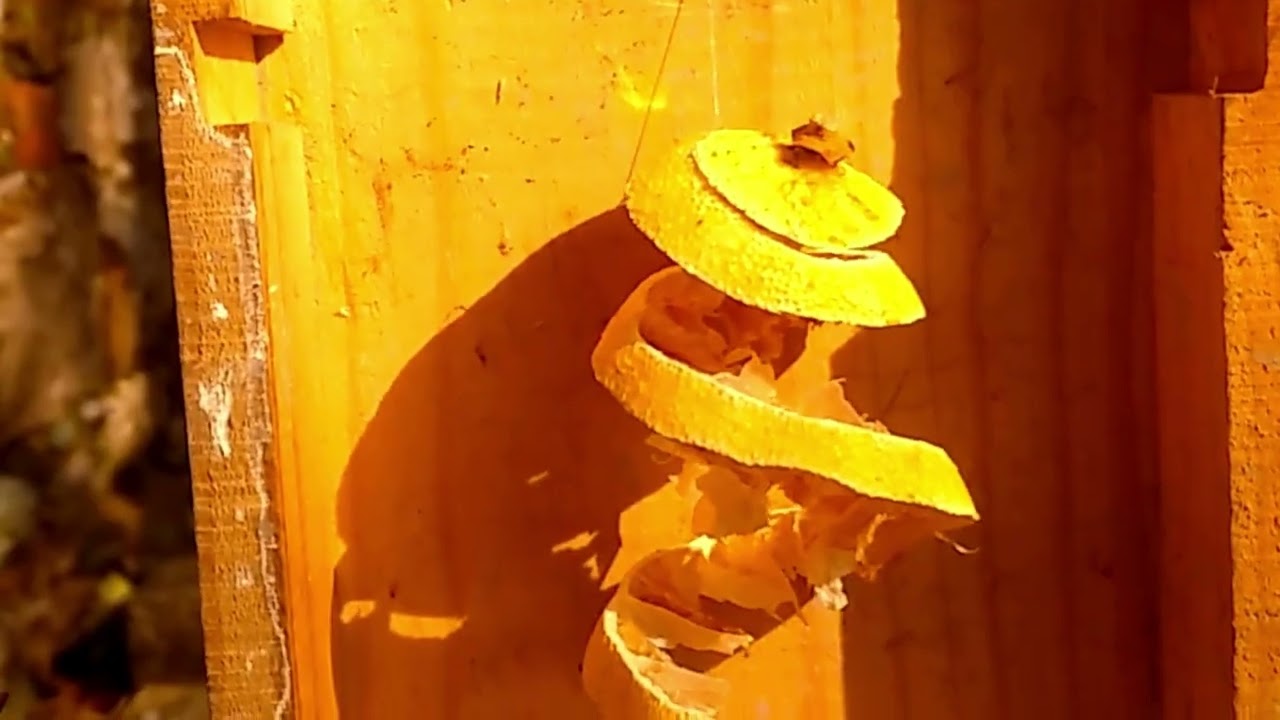 'Lemon Pi' Pataphysical Measurement Device by sos