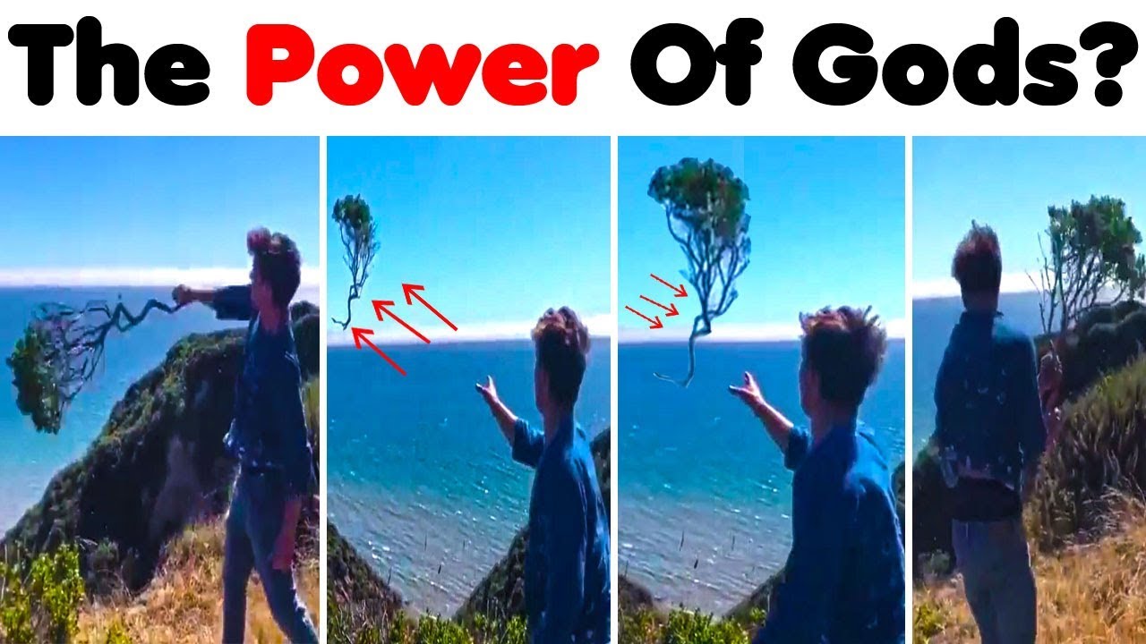 Unbelievable Things Humans Managed To Do