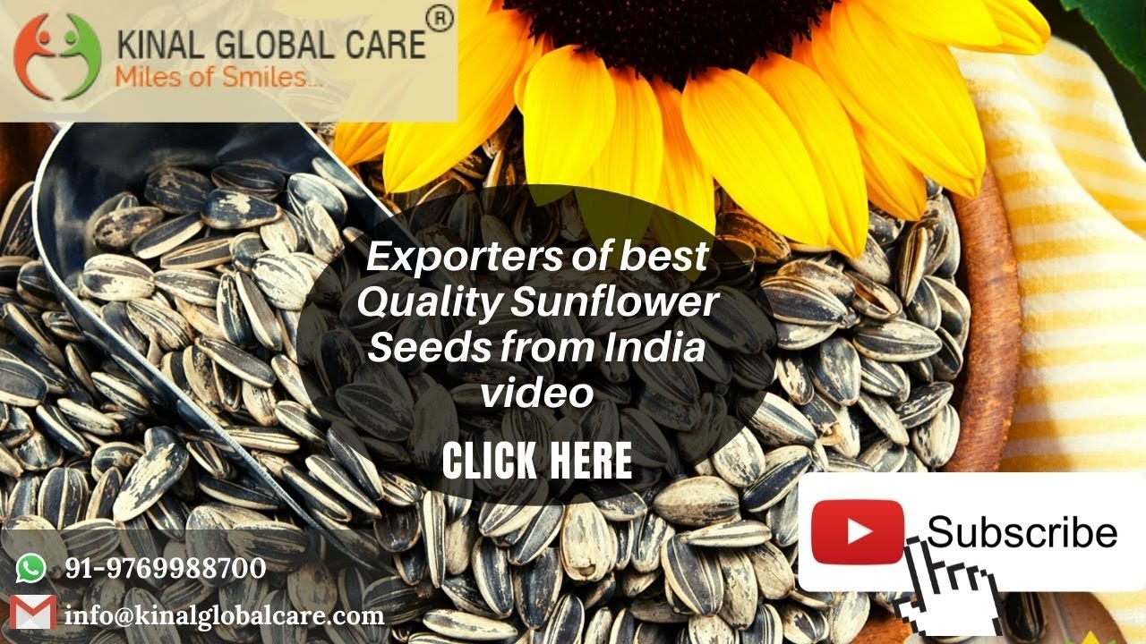Sunflower Seeds Exporters From India