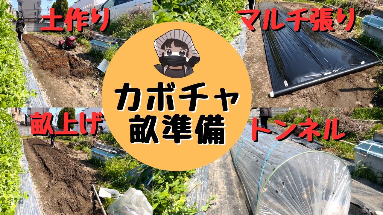 カボチャの畝準備【土作り】【畝上げ】【マルチ】【ビニールトンネル】【牛ふん堆肥】【腐植酸】【EM菌入りボカシ肥料】【もみ殻燻炭】【家庭菜園】