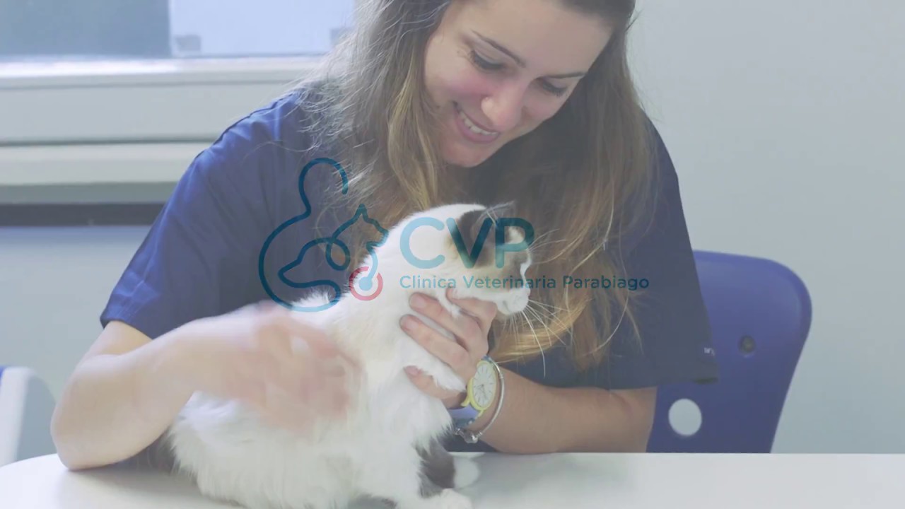 Clinica Veterinaria Parabiago Milano