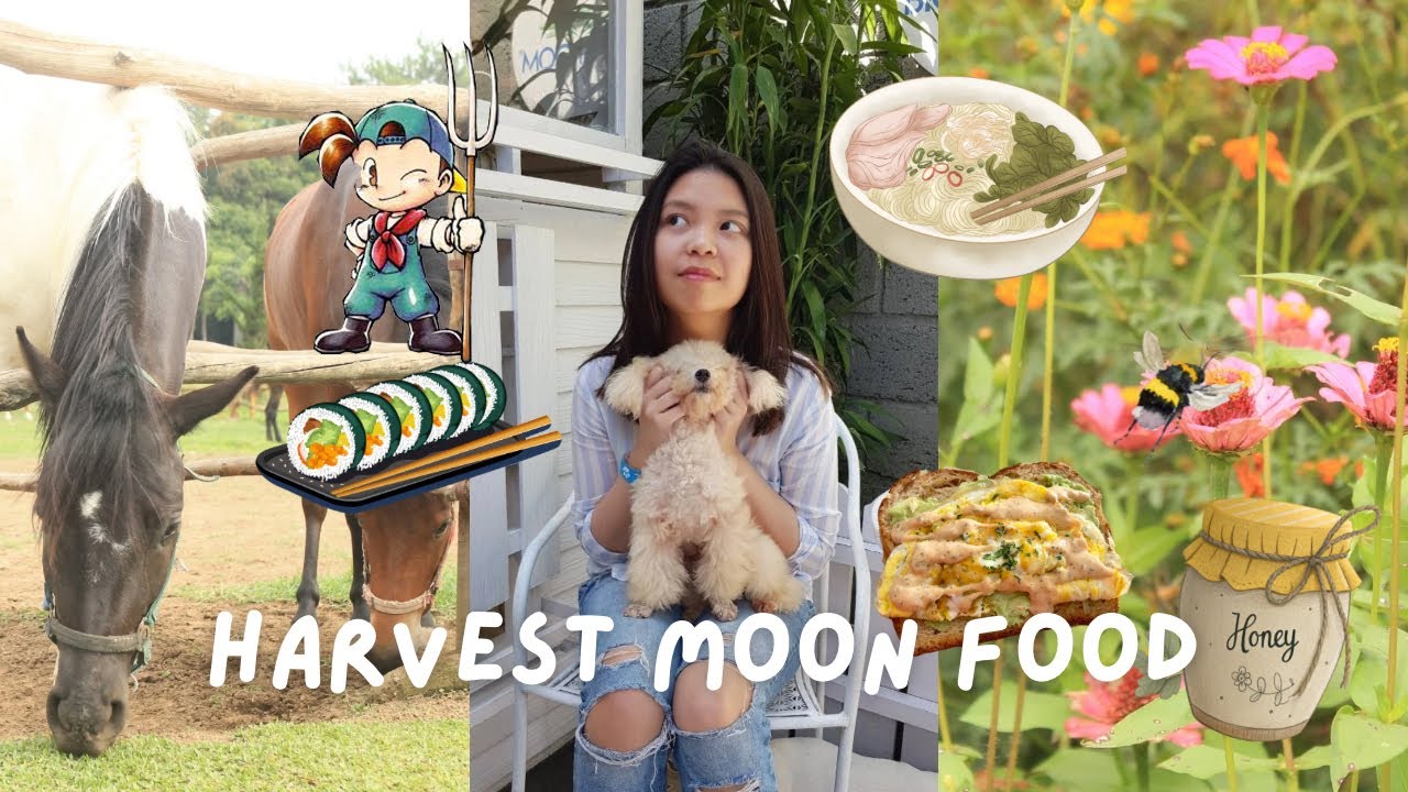 Simple Home Cooked Meals (Harvest Moon back to nature food)