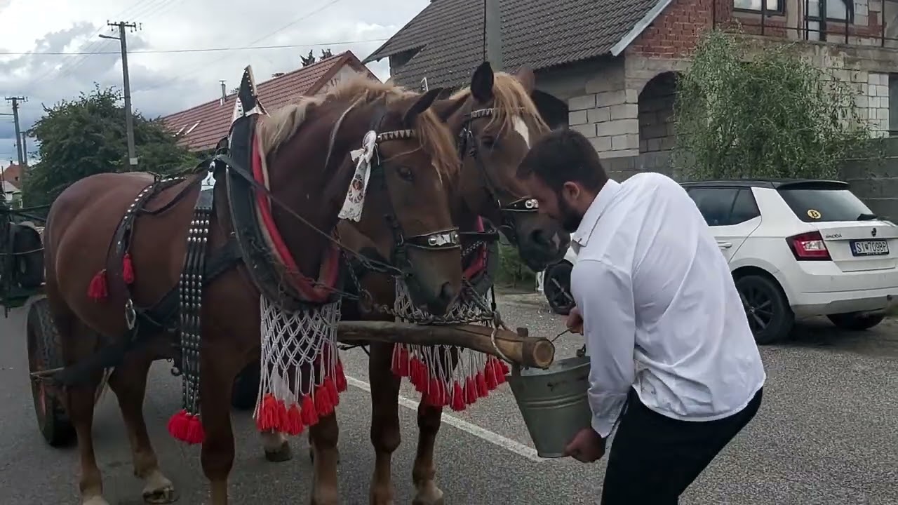 Hody v Lanžhote na Morave sa od nepamäti začínajú na Slovensku, v Brodskom
