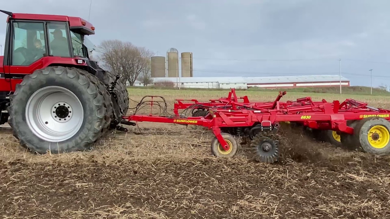 Yankee Beef: 2021 Year In Review